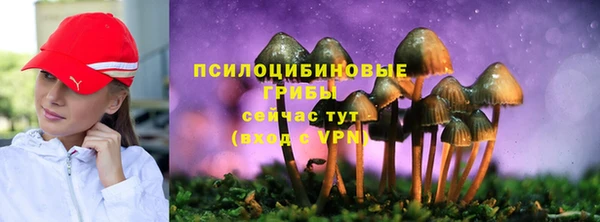 бошки Абдулино
