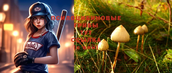 PSILOCYBIN Абинск