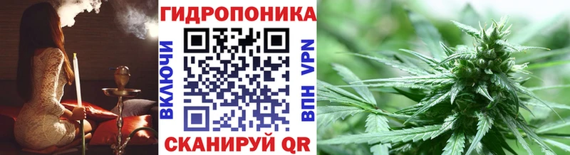 Конопля White Widow  закладка  blacksprut как зайти  нарко площадка клад  Тбилисская 
